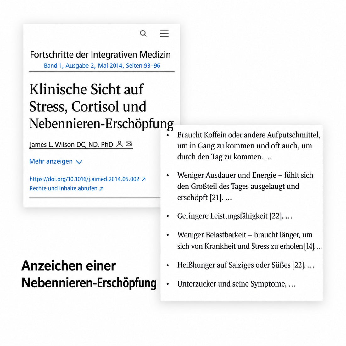 Fachartikel: Anzeichen einer Nebennieren-Erschöpfung